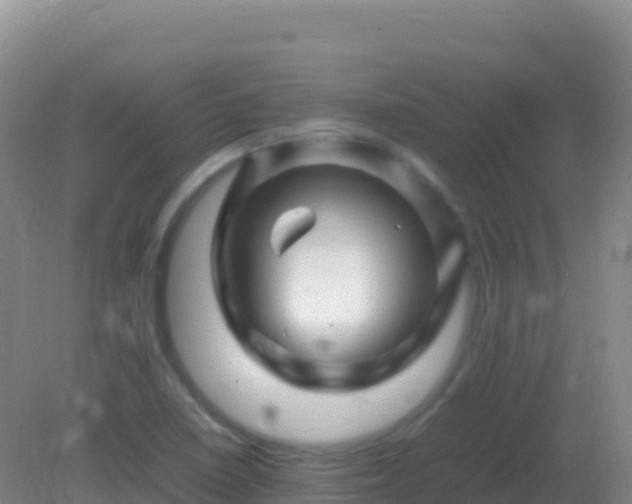 X0000082171410200701262348