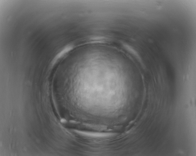 X0000082171411200701262348