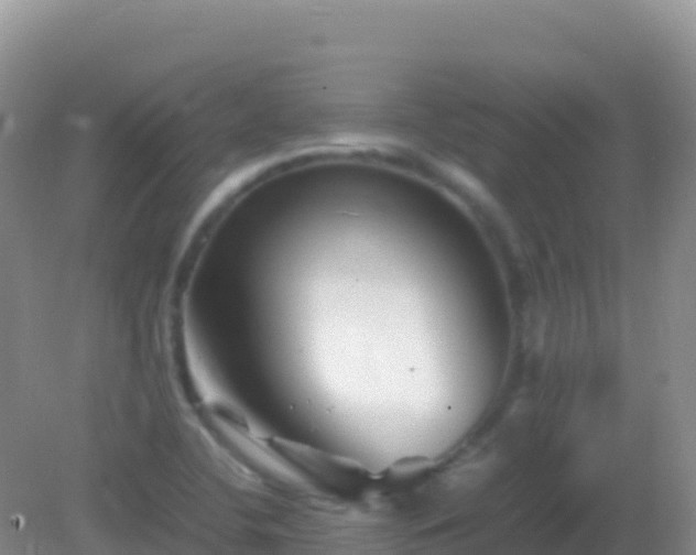 X0000082171412200701262348