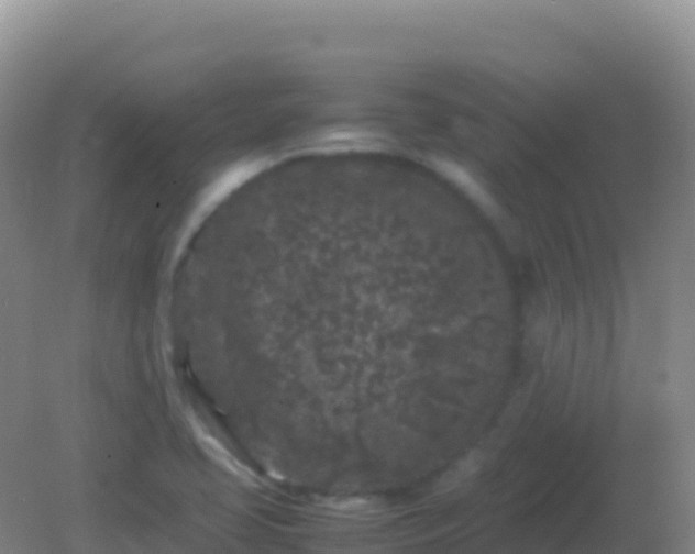 X0000082171413200701262348