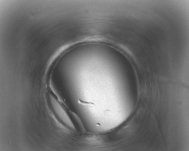 X0000082171414200701262348