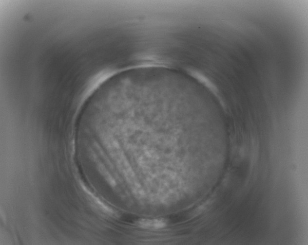 X0000082171415200701262348