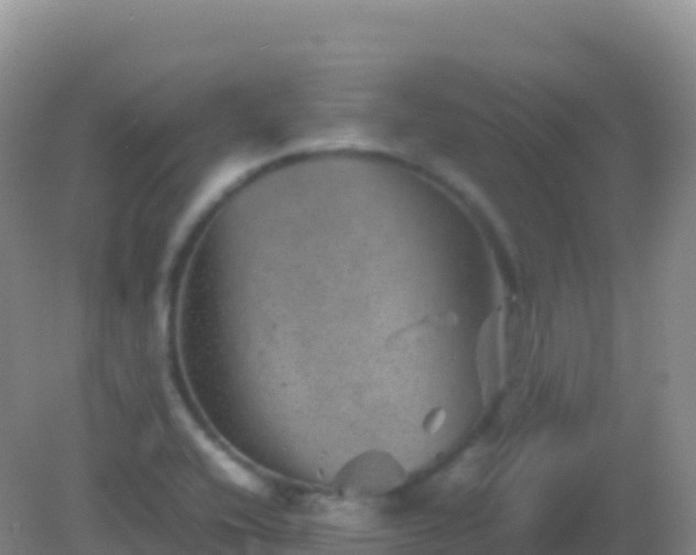 X0000082171416200701262348