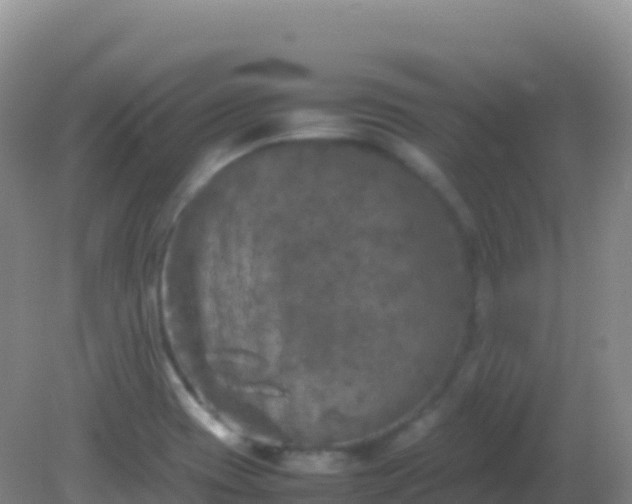 X0000082171417200701262348