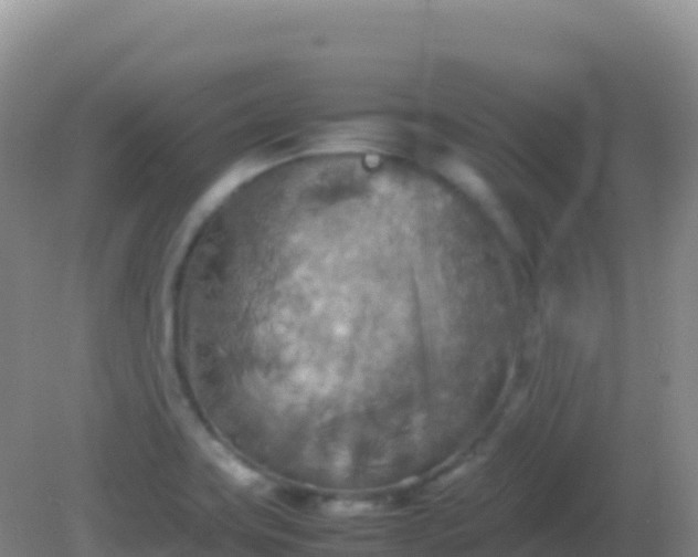 X0000082171419200701262348