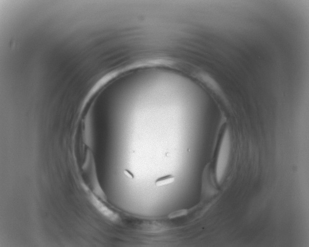 X0000082171420200701262348