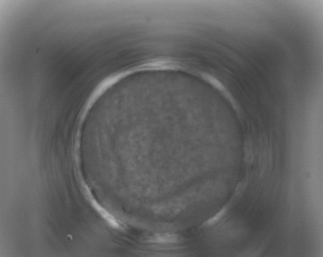 X0000082171421200701262348