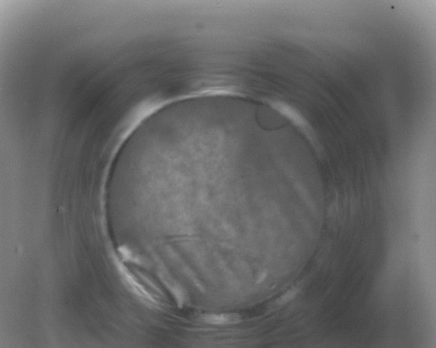 X0000082171423200701262348