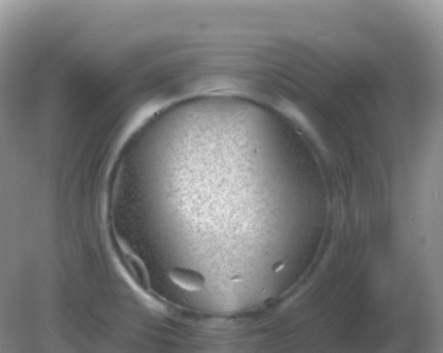 X0000082171424200701262348