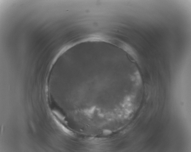 X0000082171428200701262348