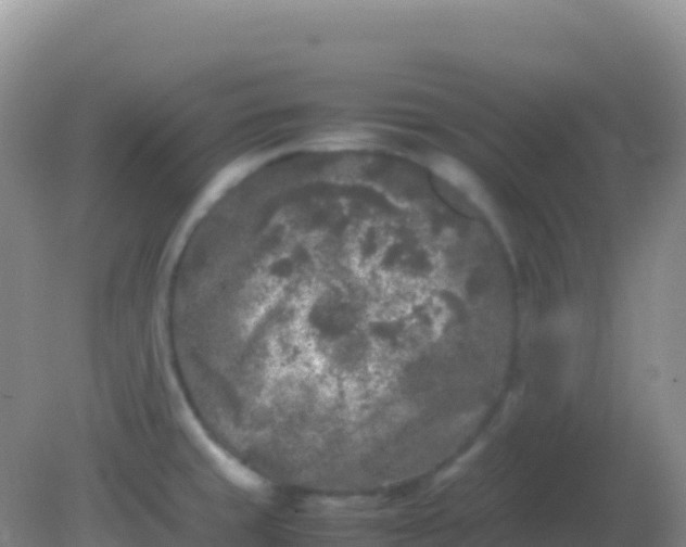 X0000082171429200701262348