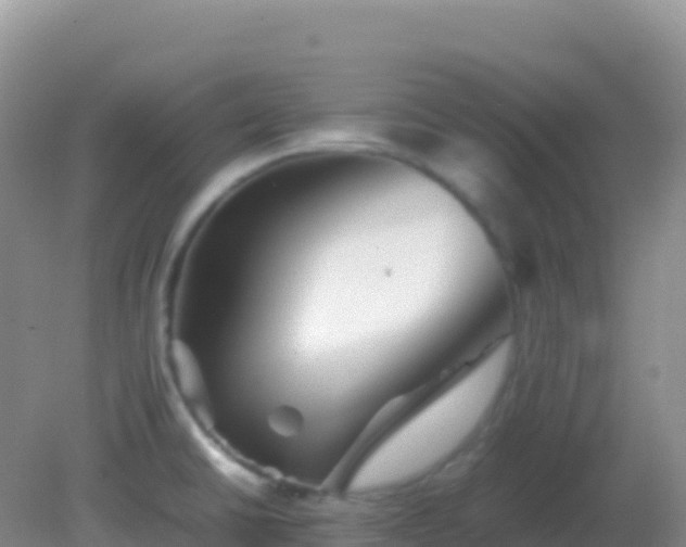 X0000082171430200701262348