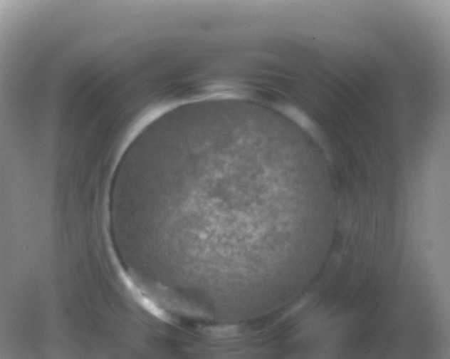 X0000082171431200701262348