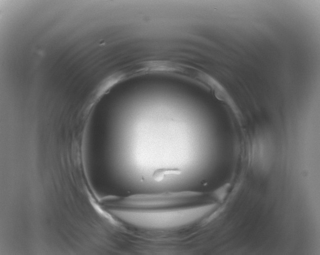 X0000082171433200701262348