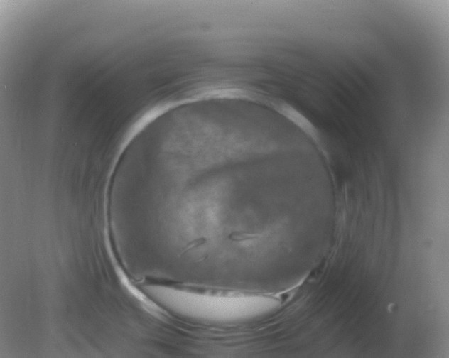 X0000082171439200701262348