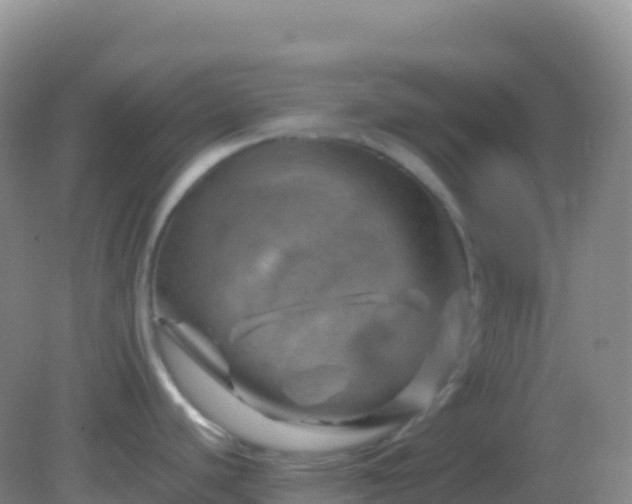 X0000082171440200701262349