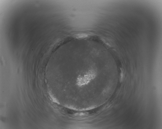 X0000082171441200701262348