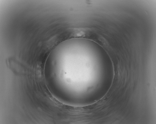 X0000082171442200701262348