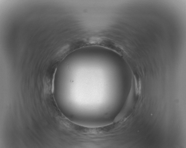 X0000082171443200701262348