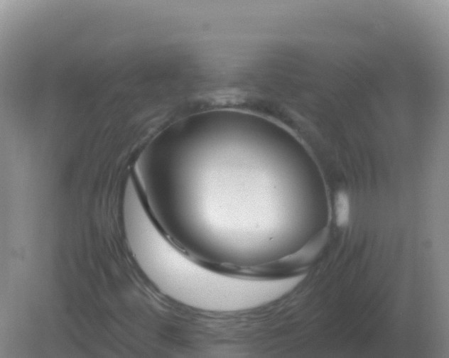 X0000082171444200701262348