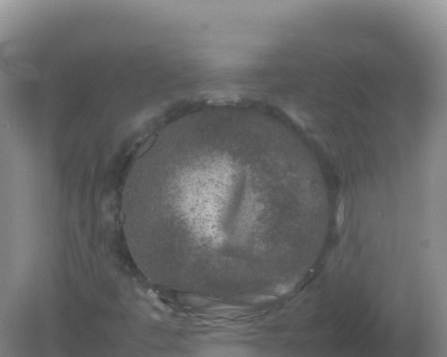 X0000082171445200701262348