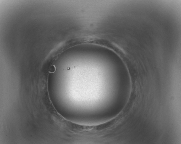 X0000082171447200701262348