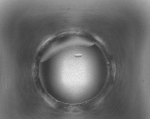 X0000082171448200701262348