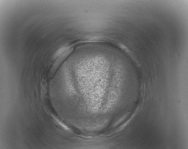 X0000082171449200701262348