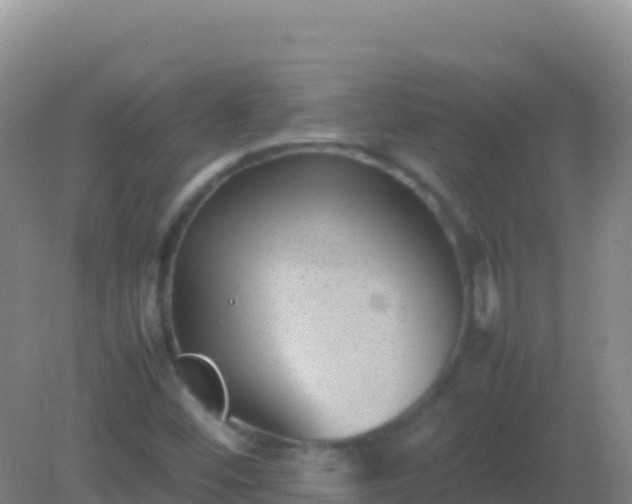 X0000082171452200701262348