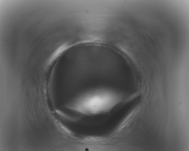 X0000082171455200701262347