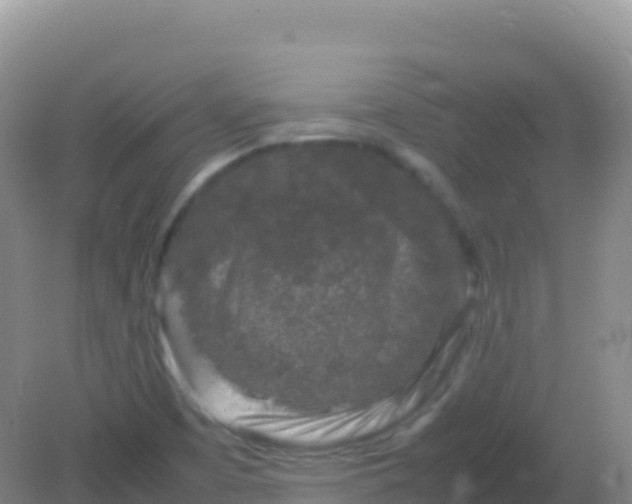 X0000082171457200701262347