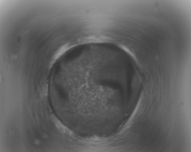 X0000082171459200701262347