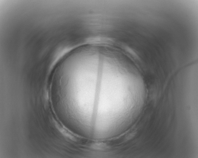 X0000082171462200701262347