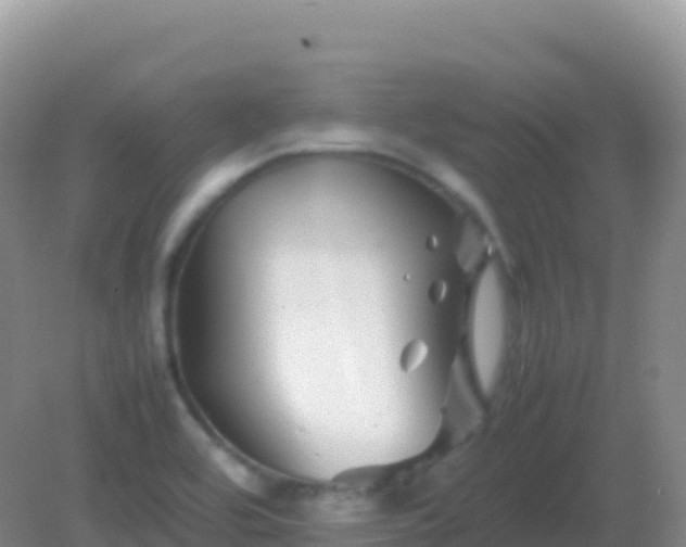 X0000082171464200701262347