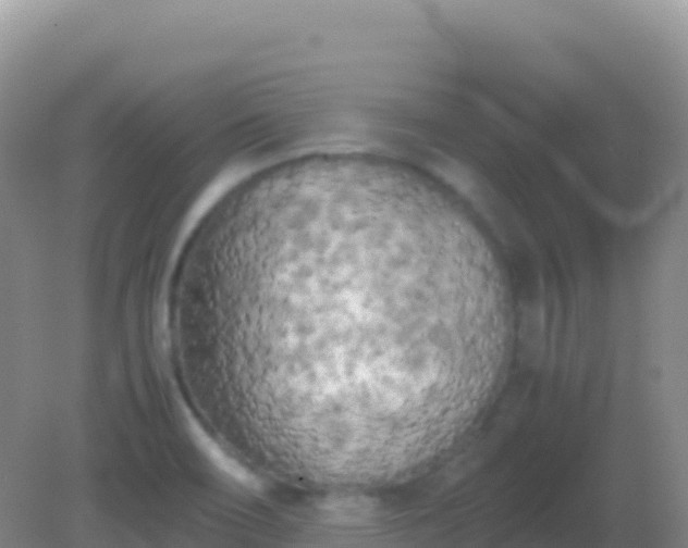 X0000082171466200701262347