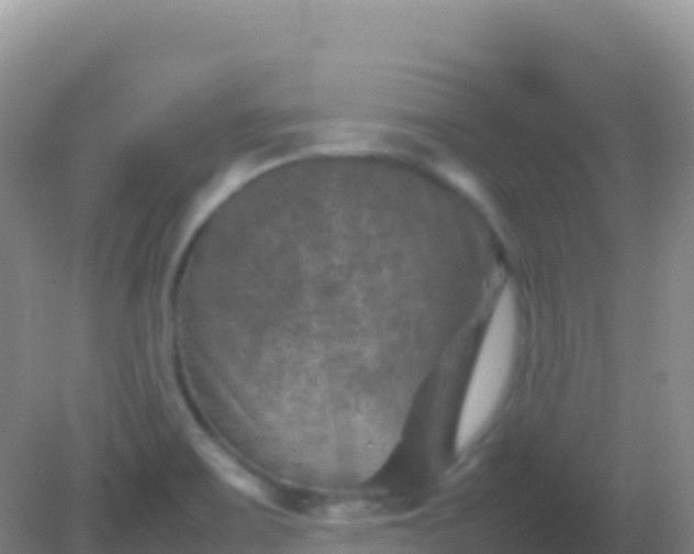 X0000082171467200701262347