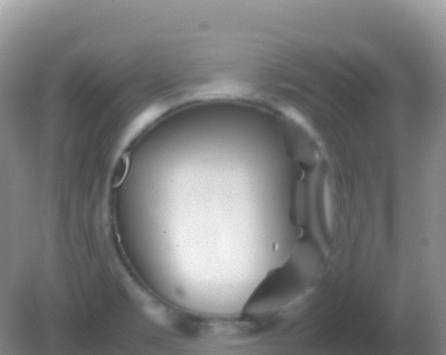 X0000082171469200701262347