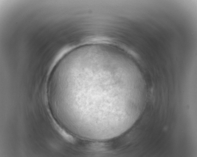 X0000082171470200701262347