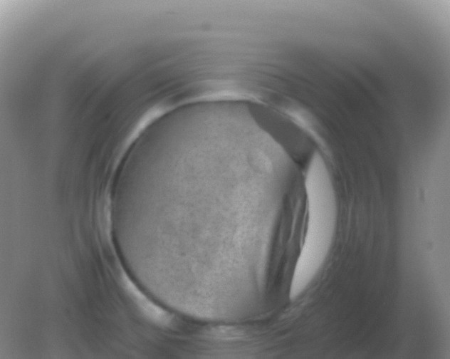 X0000082171476200701262347