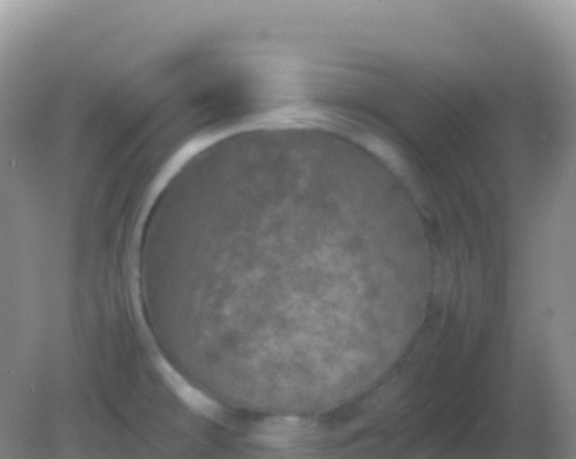 X0000082171478200701262347