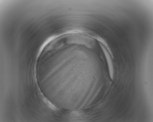 X0000082171480200701262347