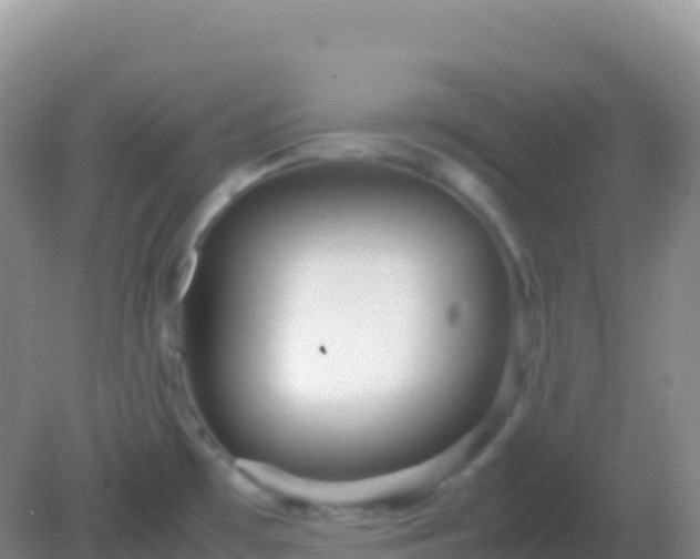 X0000082171481200701262347