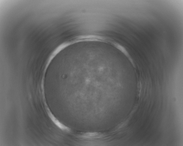 X0000082171482200701262347