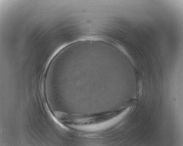 X0000082171484200701262347