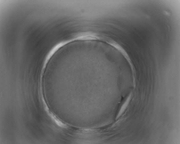 X0000082171488200701262347