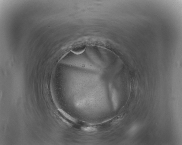 X0000082171489200701262346