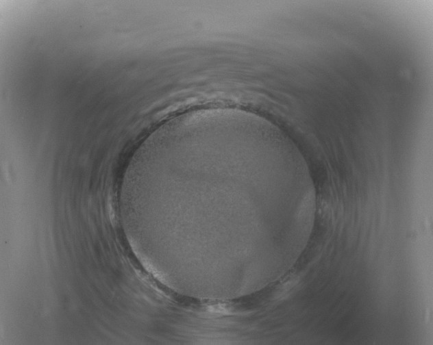 X0000082171490200701262346