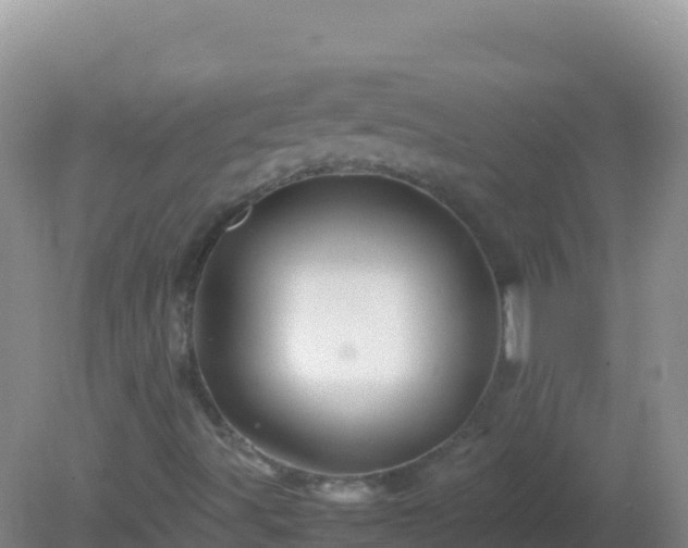 X0000082171491200701262346