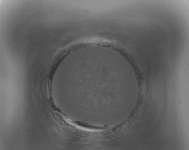 X0000082171493200701262346