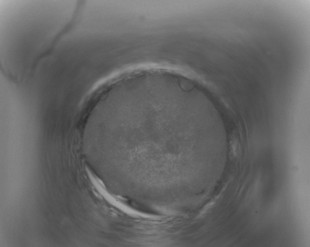 X0000082171494200701262346